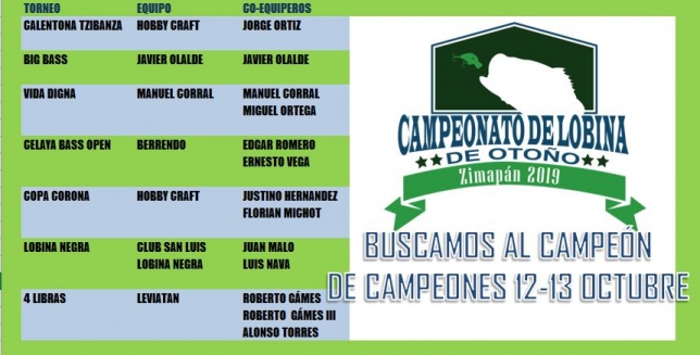 CAMPEONES ZIMAPAN.jpg